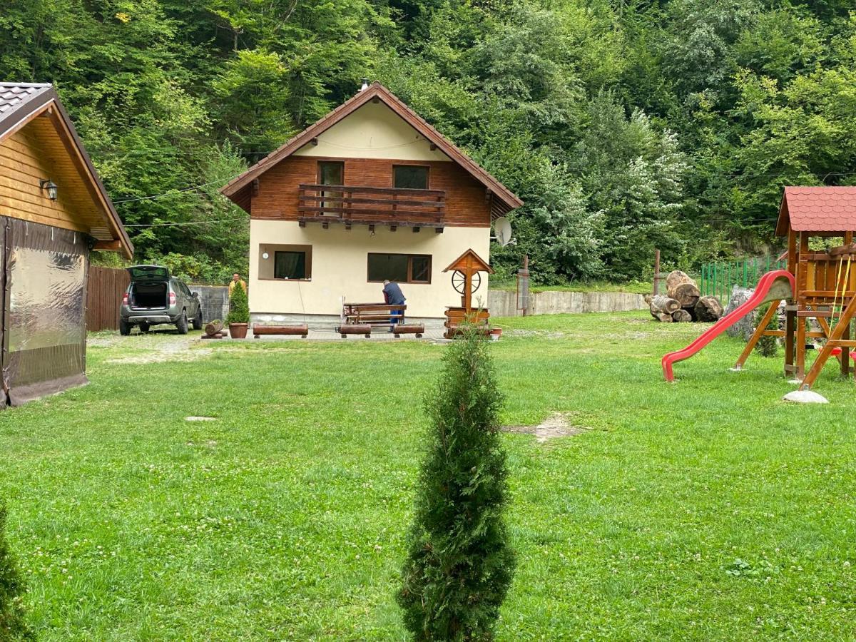 Casuta Din Poiana Rau Sadului Exterior foto